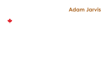 reminisce-toronto-canada-council-for-the-arts-adam-jarvis-digital-visual-artist